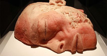 Wystawa "The Human Body Exhibition" w Krakowie