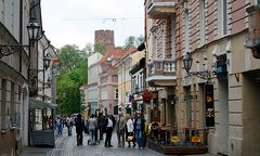 Chcesz mandat? Wyrzuć peta na ulicy w Wilnie