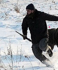 Niedźwiedzica rzuciła się na weterynarza