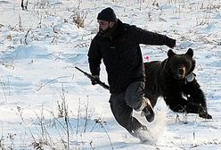 Niedźwiedzica rzuciła się na weterynarza