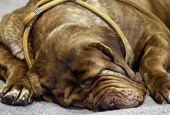 Jak minął tydzień w Polsce