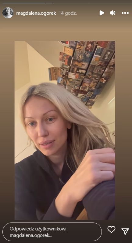 Magdalena Ogórek poprosiła followersów o pomoc (fot. InstaStories)