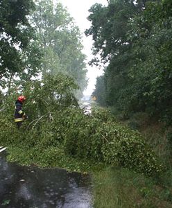 Zalane budynki, złamane drzewa, zerwane linie energetyczne - burze przeszły przez Wielkopolskę