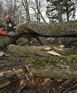 Wciąż naprawiają po wichurze, ale... ktoś ukradł przewody