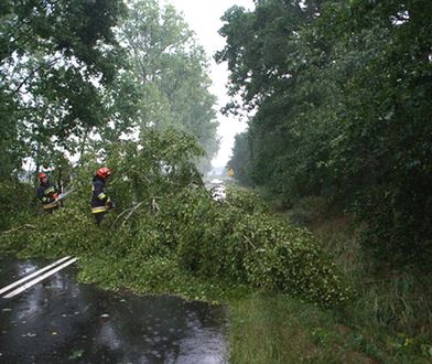 Zalane budynki, złamane drzewa, zerwane linie energetyczne - burze przeszły przez Wielkopolskę