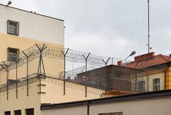 Pomorskie: 8 miesięcy więzienia za skatowanie i próbę zabicia psa