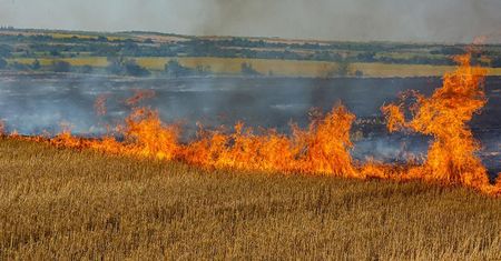 Pożary trawią ukraińskie uprawy pszenicy i jęczmienia.