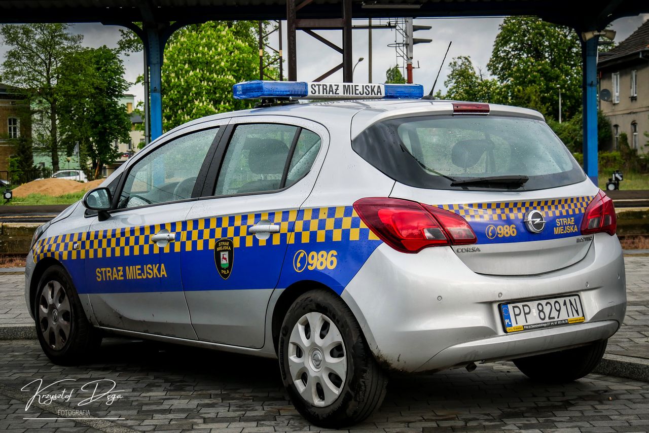 Ile mandatów nałożyła Straż Miejska w Pile?