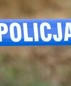 Gubin: ciało noworodka w ruinach fabryki