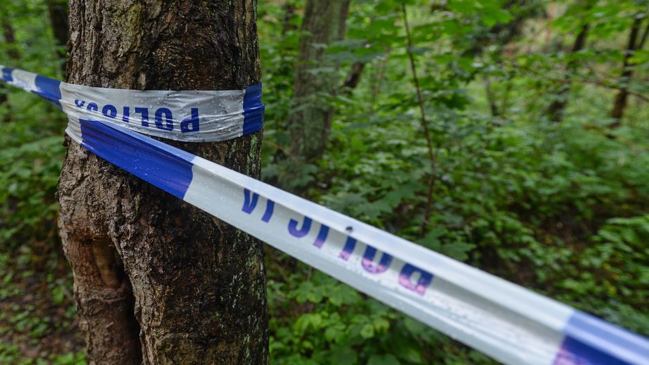 W lesie w gminie Czarny Dunajec znaleziono zwłoki 15-latki