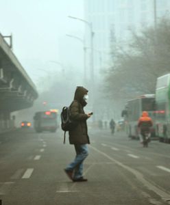 Smog dusi nas od rana. W Paryżu złapaliby się za głowy