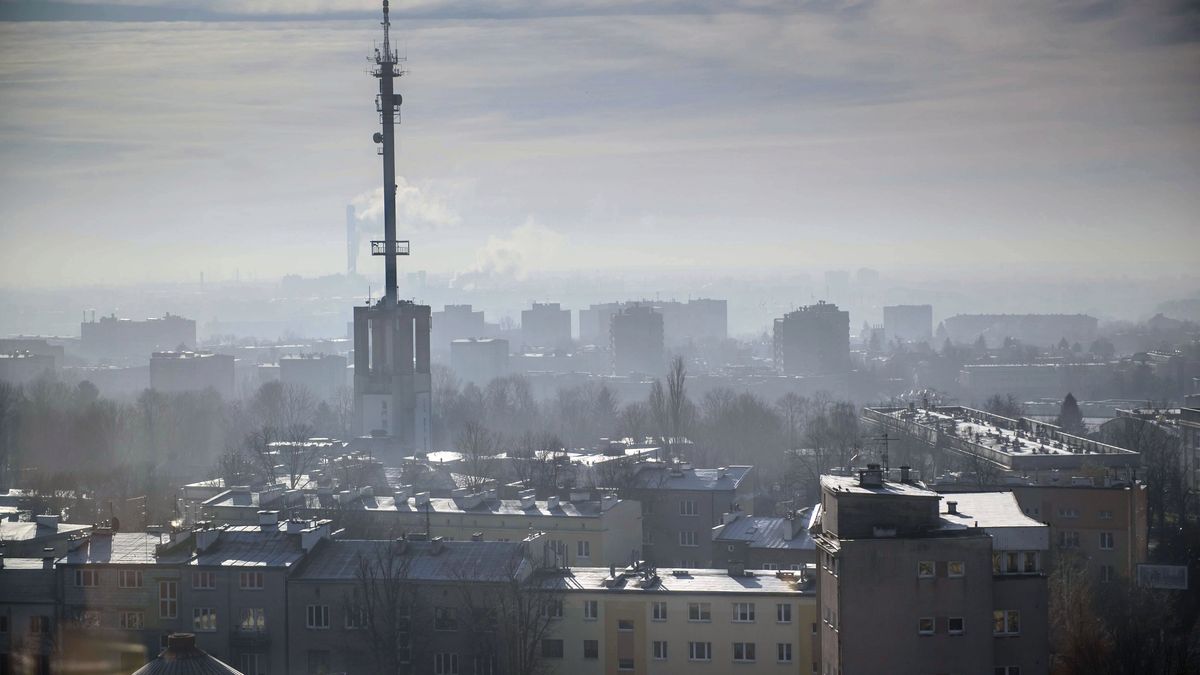 Eksperci uważają, że Polska przegrywa walkę ze smogiem
