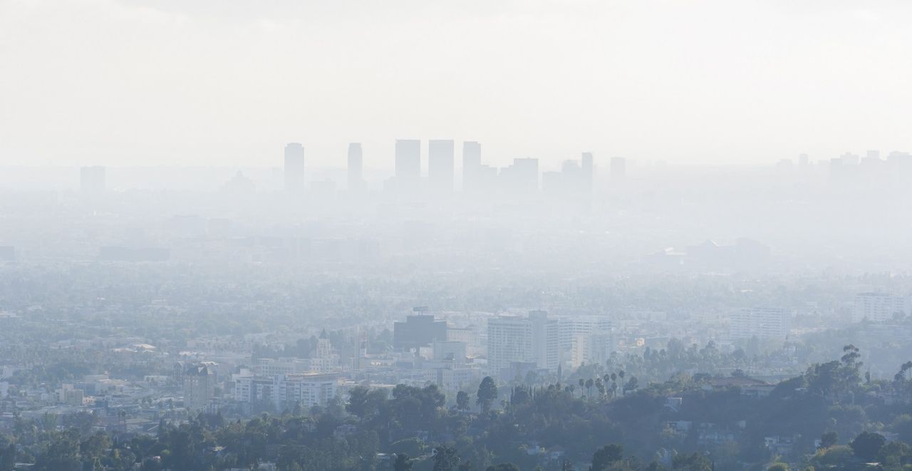 Wpływ smogu na ludzi. Naukowcy odkryli nowy problem