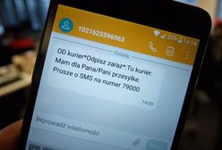 Anna Streżyńska ochroni nas przed drogimi SMS-ami. Będzie miesięczny limit na usługi premium