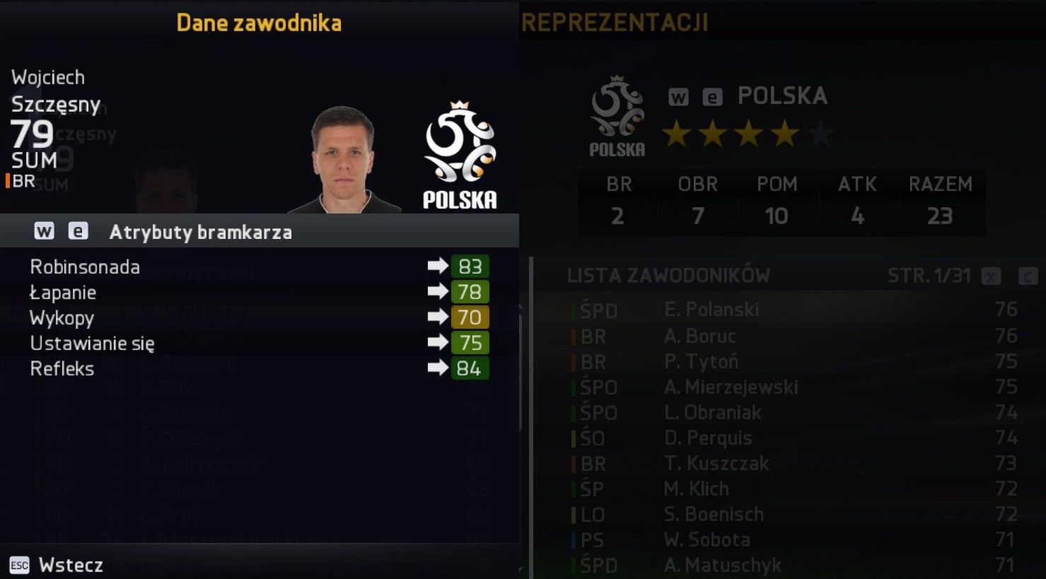 Obraz