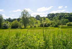 Rekordowy kwiecień. Tak ciepło nie było od lat