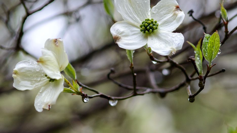 Prognoza pogody na dziś (wtorek 26 marca). Jaka będzie dziś pogoda w Warszawie, Krakowie, Wrocławiu i Gdańsku?