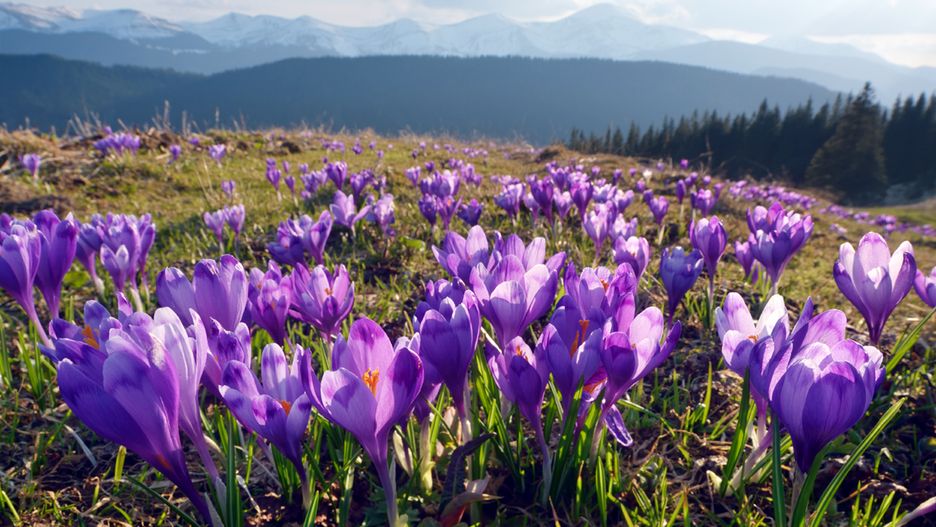 Prognoza pogody na dziś - środa 13 marca. Jaka będzie dziś pogoda w Warszawie, Krakowie, Wrocławiu i Gdańsku?