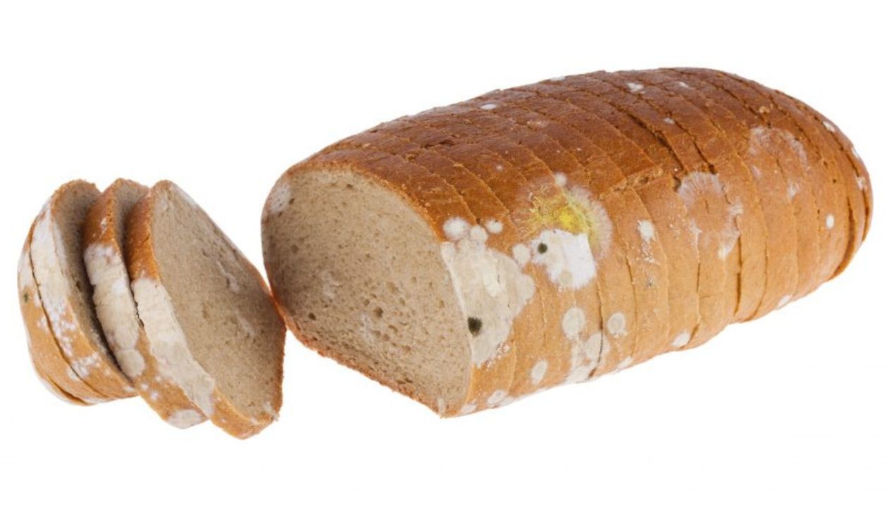 Co się stanie, jeśli odkroisz spleśniały kawałek chleba, a z reszty zrobisz kanapki?