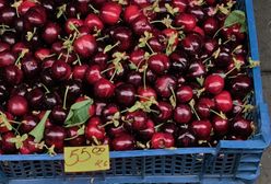 Ceny owoców powalają. Można już kupić czereśnie, prawie złotówka za sztukę
