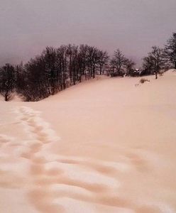 We Włoszech spadł różowy śnieg. "Dobrze, że nie żółty!"