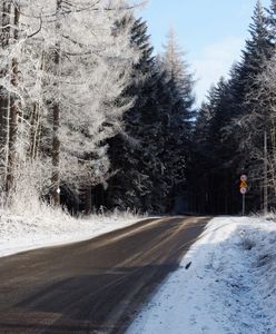 Minuty ocaliły ich przed zmiażdżeniem. "To świąteczny cud"