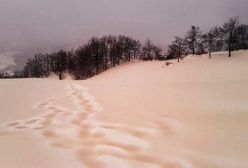 We Włoszech spadł różowy śnieg. "Dobrze, że nie żółty!"