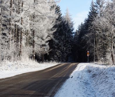Minuty ocaliły ich przed zmiażdżeniem. "To świąteczny cud"