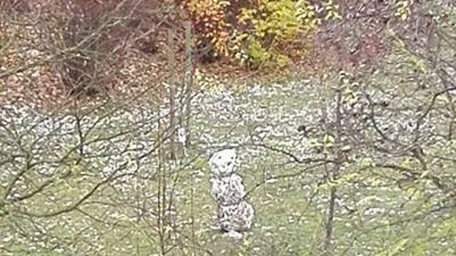 Spadł pierwszy śnieg, a to pierwszy bałwan na warszawskim Ursynowie 