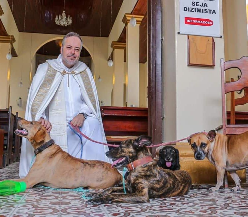 Ksiądz promuje adopcję psów, fot. Instagram