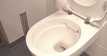 Ukryta funkcja deski sedesowej - sprawdź, czy Twoja też ją ma! Ułatwi sprzątanie