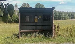 Nie śpiesz się, i tak nie odjedzie. 14 mln Polaków już nie czeka na autobus