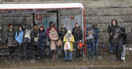 Astronomiczna wiosna już we wtorek. Na tę prawdziwą jeszcze poczekamy