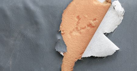 Zwierzak podrapał ci meble? Oto sprawdzony sposób!