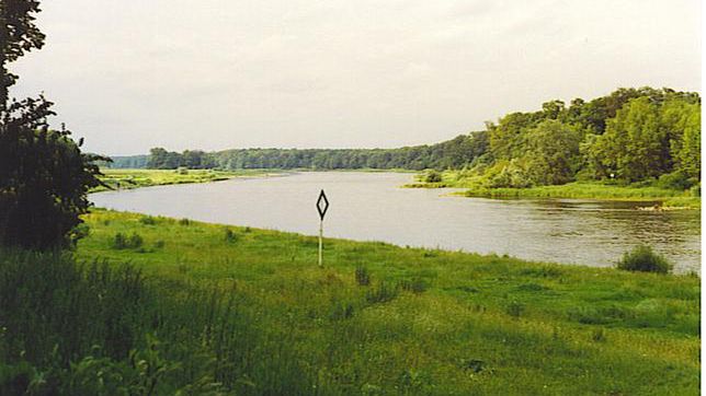 Makabrycznego odkrycia dokonał wędkarz łowiący ryby w Odrze w Nowej Soli 