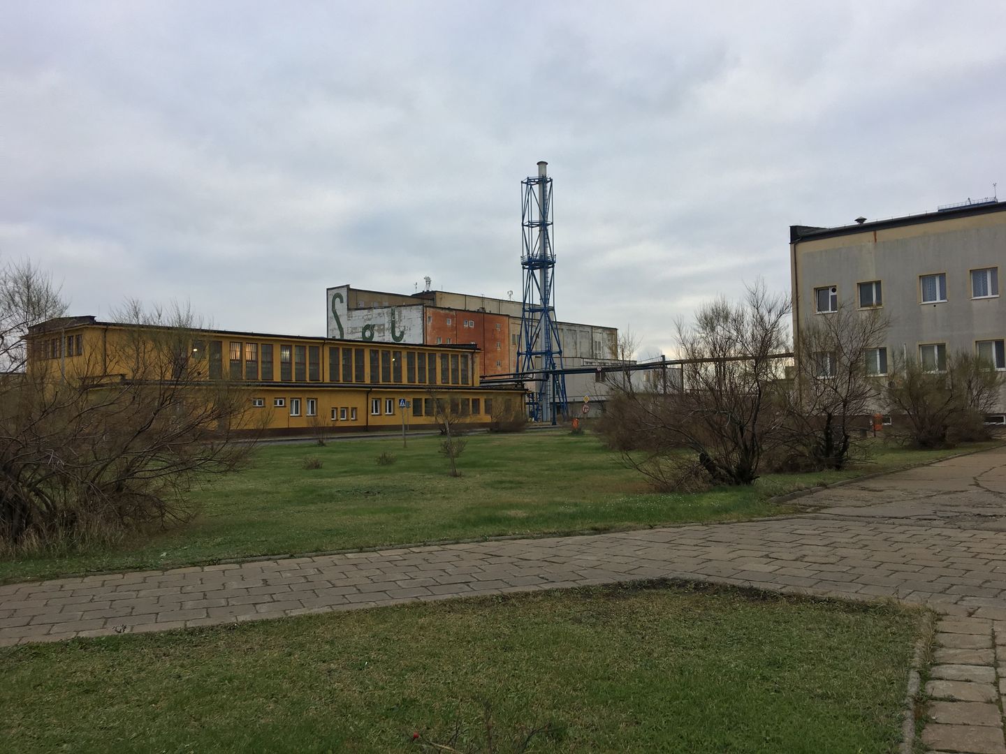 Obraz