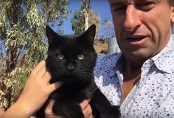 Youtuber stracił dom w kalifornijskim pożarze Camp Fire. Jego kot przetrwał kataklizm