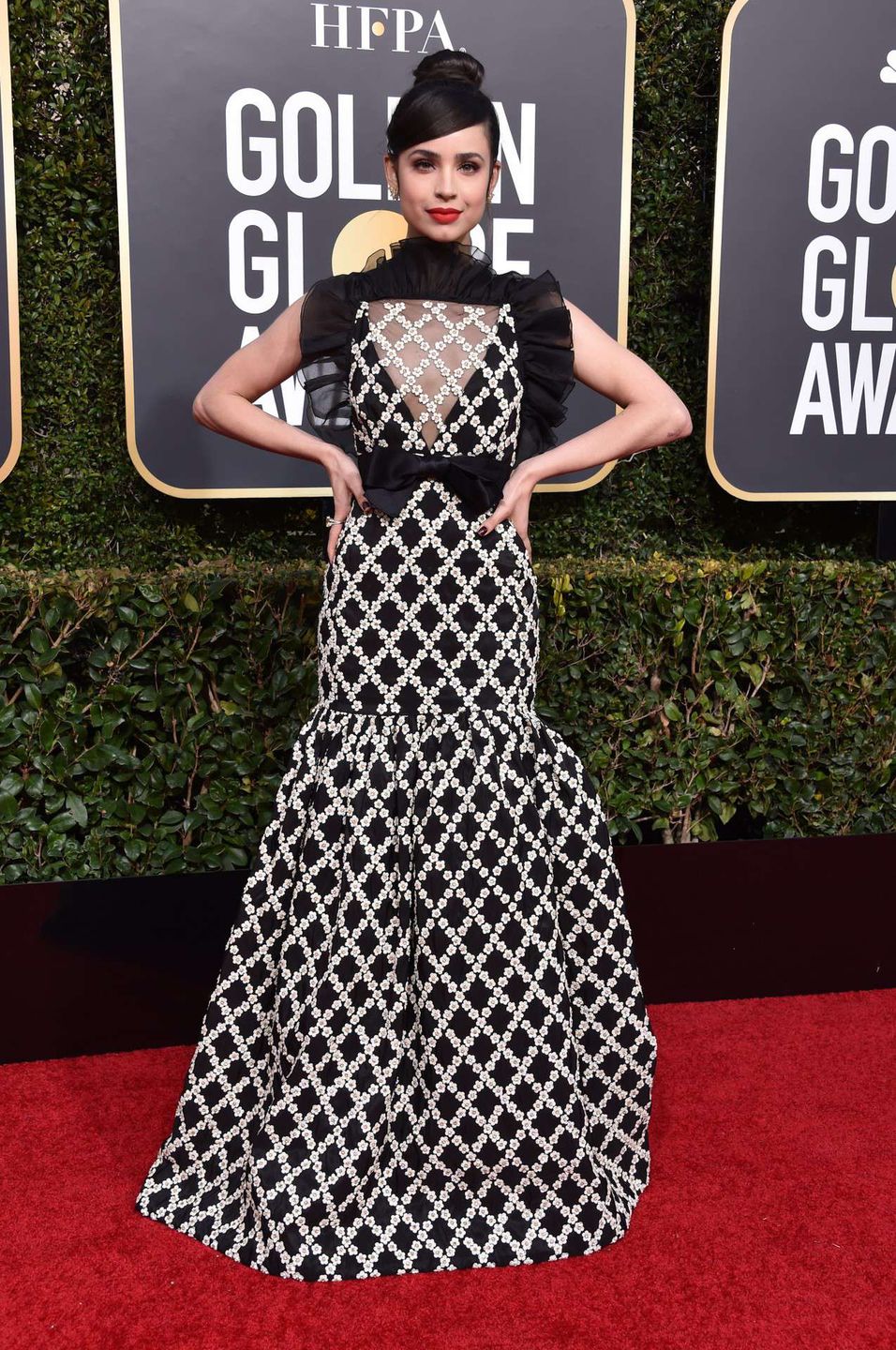 Sofia Carson – Złote Globy 2019, kreacja: Giambaattista Valli