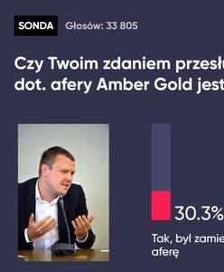 Michał Tusk przed komisją dot. afery Amber Gold. Oto wyniki sondy WP