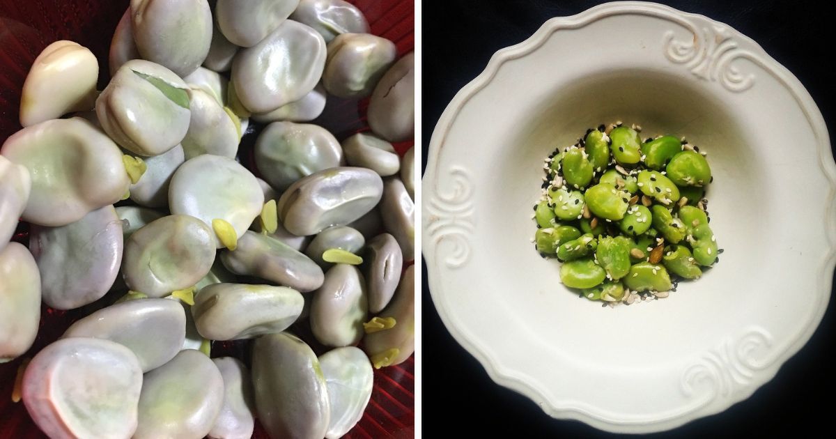 Czy bób można jeść ze skórką? Nie zawsze może to nam wyjść na zdrowie