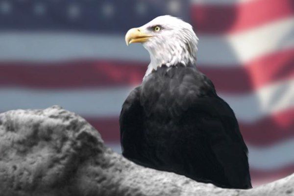 Giganci teleinformatyczni przeciwko USA