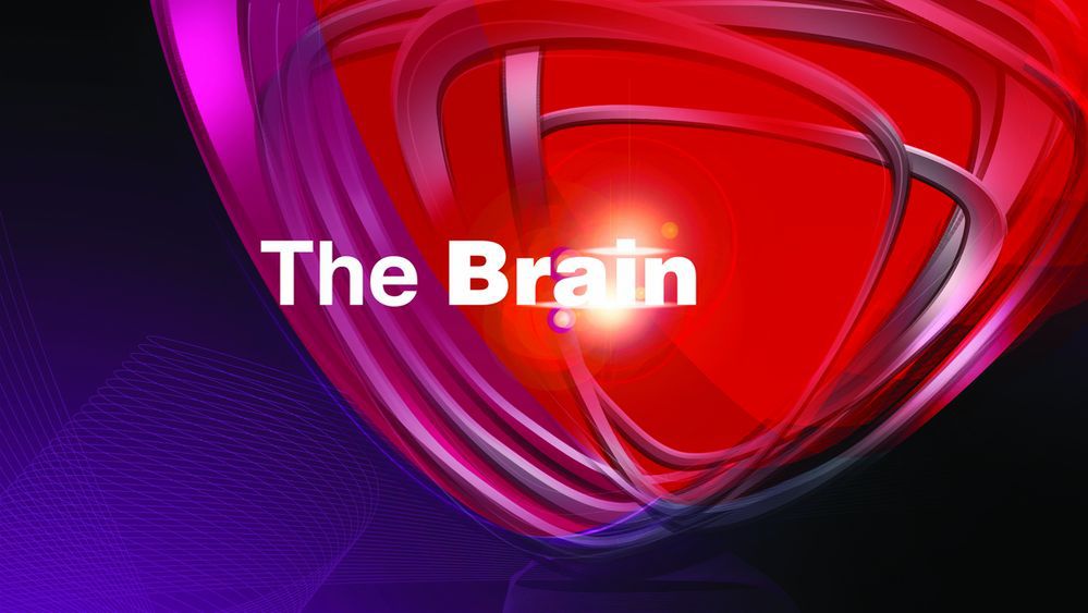 "The Brain - genialny umysł" już w marcu w Polsacie