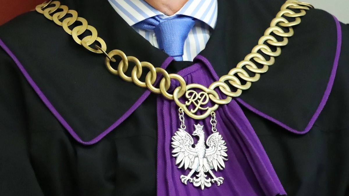 W 2017 r. fiskus wnosił niespełna 7,5 spraw dziennie, a w ubiegłym roku niemal 10 spraw dziennie