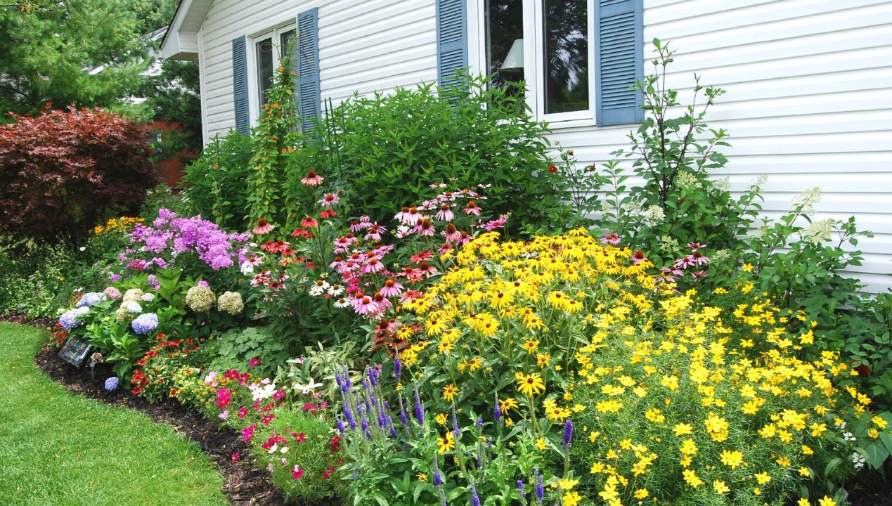 A Nice Garden Can Increase the Value of a House by up to 20%. All You Need to Do Is Make a Few Changes