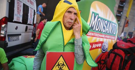 Francja: skandal wokół Monsanto. Tym razem ochrona danych