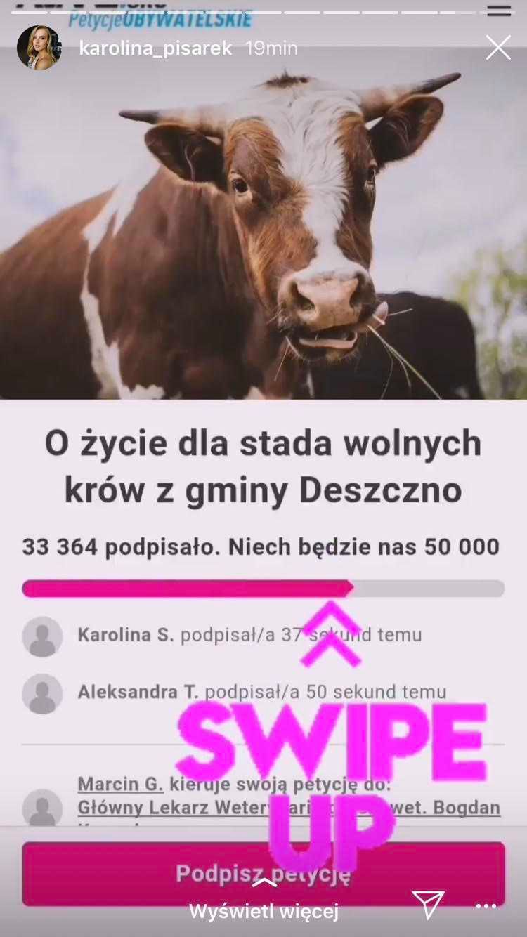 Karolina Pisarek - gwiazdy bronią wolnych krów
