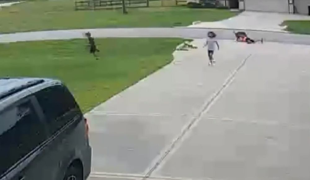 Teksas. Nastolatek uratował 6-latka zaatakowanego przez pitbulla