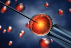 Apple i Facebook będą płacić za zamrożenie komórek jajowych