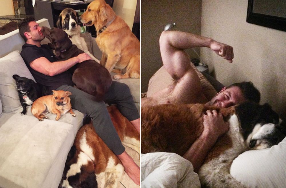 Przygarnął jednego psa. Teraz ma w domu zwierzyniec