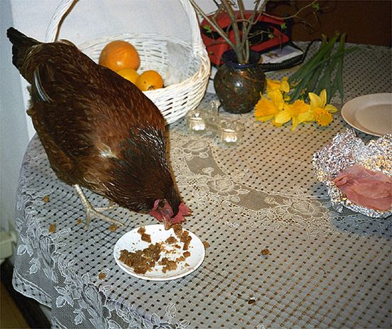 Obraz